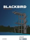 Blackbird von Matthias Brandt - Lehrerheft - M-Niveau