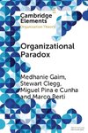 Organizational Paradox