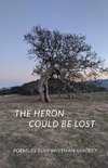 The Heron Could be Lost