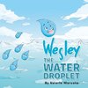 Wesley the Water Droplet