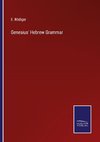 Genesius' Hebrew Grammar