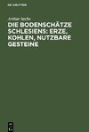 Die Bodenschätze Schlesiens: Erze, Kohlen, nutzbare Gesteine