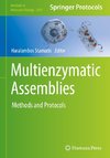 Multienzymatic Assemblies