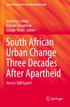 South African Urban Change Three Decades After Apartheid