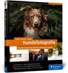 Hundefotografie