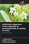 Calotropis gigantea: Fonte potente di nanoparticelle di ossido di zinco