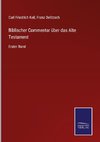 Biblischer Commentar über das Alte Testament