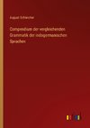 Compendium der vergleichenden Grammatik der indogermanischen Sprachen