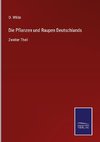 Die Pflanzen und Raupen Deutschlands