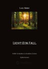 Licht.Ein.Fall.