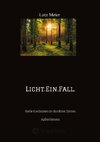 Licht.Ein.Fall.