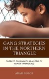 Gang Strategies in the Northern Triangle