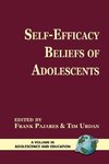 Self-Efficacy Beliefs of Adolescents (PB)