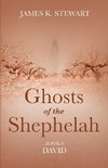 Ghosts of the Shephelah, Book 8