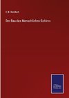 Der Bau des Menschlichen Gehirns