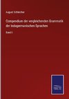 Compendium der vergleichenden Grammatik der Indogermanischen Sprachen