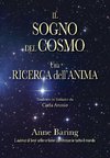 Il Sogno del Cosmo