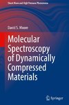 Molecular Spectroscopy of Dynamically Compressed Materials