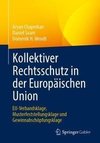 Kollektiver Rechtsschutz in der Europäischen Union