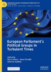 European Parliament¿s Political Groups in Turbulent Times