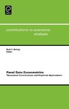 Panel Data Econometrics