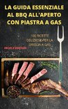 LA GUIDA ESSENZIALE AL BBQ ALL'APERTO CON PIASTRA A GAS