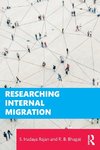 Researching Internal Migration