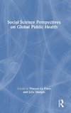 Social Science Perspectives on Global Public Health