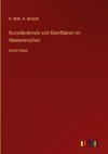 Kunstdenkmale und Alterthümer im Hannoverschen