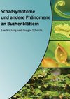 Schadsymptome und andere Phänomene an Buchenblättern