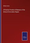 A Practical Treatise of Diseases of the Urinary & Generative Organs