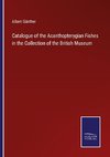 Catalogue of the Acanthopterygian Fishes in the Collection of the British Museum