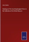 Catalogue of the Acanthopterygian Fishes in the Collection of the British Museum