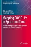 Mapping COVID-19 in Space and Time