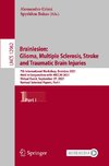 Brainlesion: Glioma, Multiple Sclerosis, Stroke and Traumatic Brain Injuries