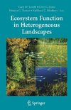 Ecosystem Function in Heterogeneous Landscapes