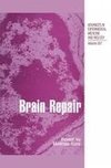 Brain Repair