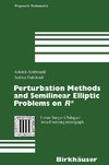 Perturbation Methods and Semilinear Elliptic Problems on R^n