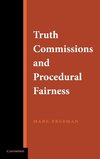 Truth Commissions and Procedural Fairness