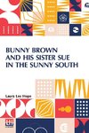 Bunny Brown And His Sister Sue In The Sunny South