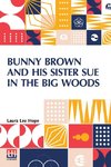 Bunny Brown And His Sister Sue In The Big Woods