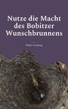 Nutze die Macht des Bobitzer Wunschbrunnens