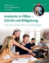 Anatomie in Fällen - Schnitt und Bildgebung