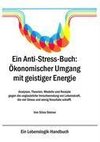 Ein Anti-Stress-Buch: Ökonomischer Umgang mit geistiger Energie