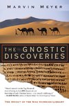 Gnostic Discoveries, The