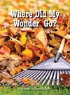 Where Did My Wonder Go?