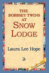 The Bobbsey Twins at Snow Lodge