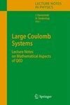 Large Coulomb Systems