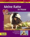 Meine Ratte zu Hause