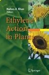 Ethylene Action in Plants